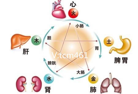 理解脑萎缩：原因、日常措施与防护
防止脑萎缩：八项日常要点，科学的脑健康守护之道