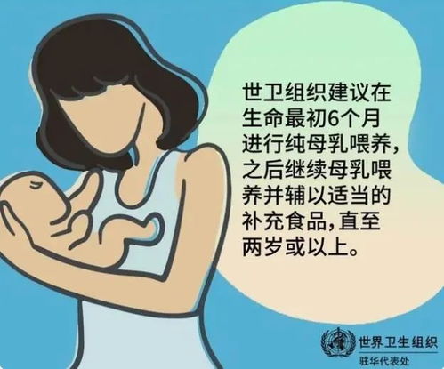 新手妈妈必看的母乳喂养指导：详细解析与策略分享