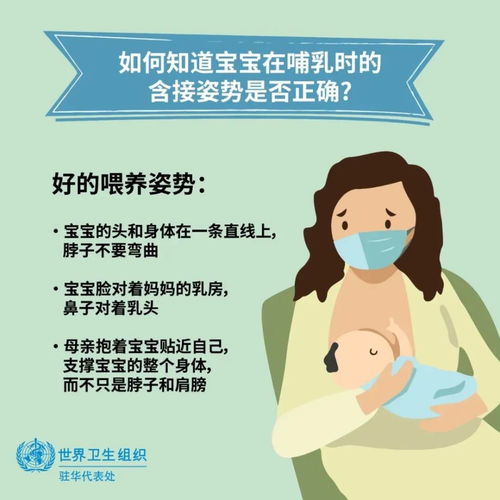 新手妈妈必看的母乳喂养指导：详细解析与策略分享