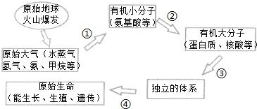 重构：18亿遗传密码的全新解读，揭示生命的起源和演化