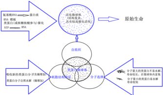 重构：18亿遗传密码的全新解读，揭示生命的起源和演化