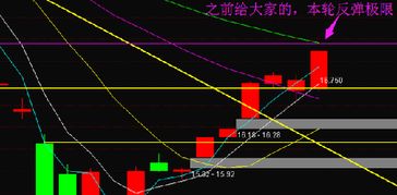 互联网行业的又一次飙升：这一赛道或将再迎涨停潮!