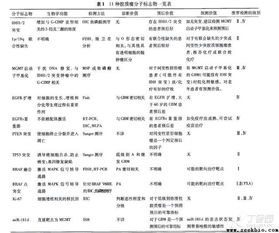 我国开始实行脑胶质瘤精准诊疗模式