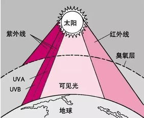 人类是否能看见紫外线？解析其可能的影响