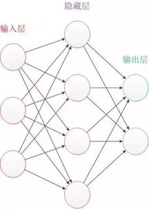 深度学习：探索神秘的神经网络世界 - 从基础知识到实战应用