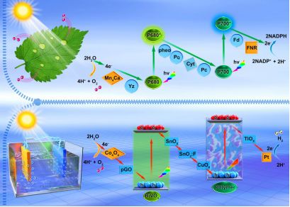 科学家在光电催化制氢领域取得重大突破：新型氧化亚铜薄膜制备技术实现载流子迁移率大幅提升