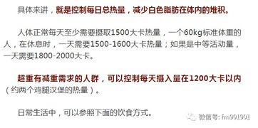 革命性发现：棕色脂肪代谢调控，有望终结肥胖问题