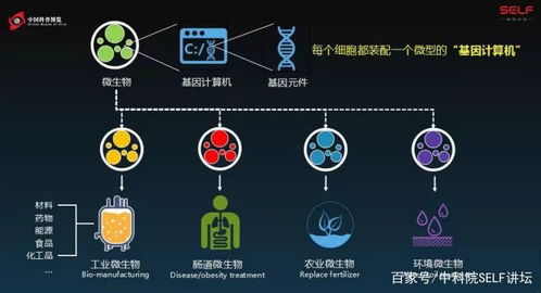 利用微生物降解策略解决全球塑料污染问题：一项最新的科学发现