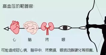 了解高血压的危害：知道的太多还是不够！