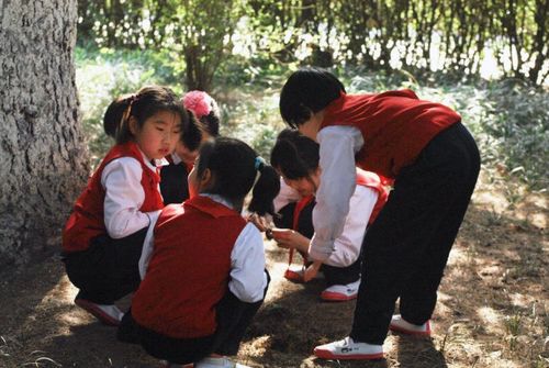 多名女生称在南京农大被男大学生冒充小学生骑肩，校方回应基本属实

校园中惊现男子冒充小学生骑肩事件，多位女生声称曾遭欺骗，南农大回应已掌握详细情况