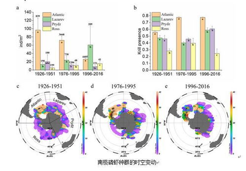 南极磷虾分布广泛，中国科研人员监听声学信号辨识位置