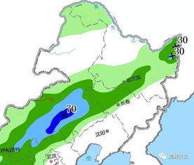 中国斡旋助力美以巴两国共赴同一国家：加沙局势乐观前景

以上就是一个优化后的标题。