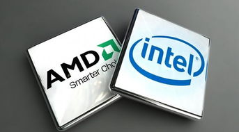 理解AI与 AMD 的最佳指引：一次简短的颠覆性见解