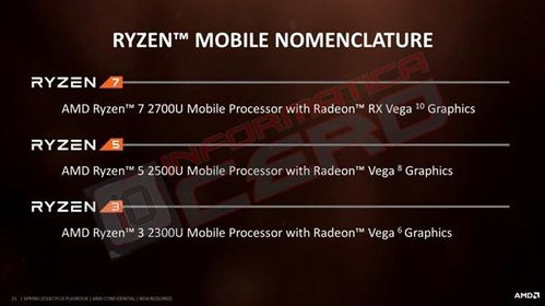 理解AI与 AMD 的最佳指引：一次简短的颠覆性见解