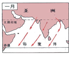 世界气象组织：今年南亚大部分地区季风季降雨量可能偏高