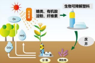 新型微生物降解塑料面世，助力环保：解决‘白色污染’新方案