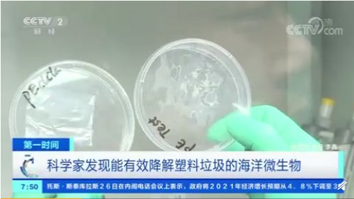 新型微生物降解塑料面世，助力环保：解决‘白色污染’新方案