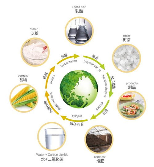 新型微生物降解塑料面世，助力环保：解决‘白色污染’新方案