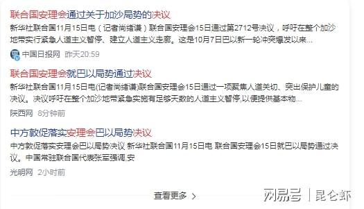 中国行使否决权，安理会联南苏团授权延期决议草案被否决