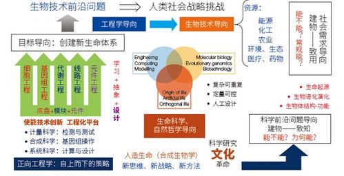 生物制造领域掀起‘新革命’：合成生物学概念引发市场热潮，相关上市公司关注度显著提升