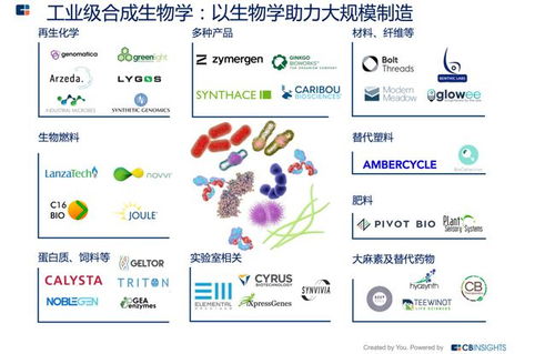 生物制造领域掀起‘新革命’：合成生物学概念引发市场热潮，相关上市公司关注度显著提升