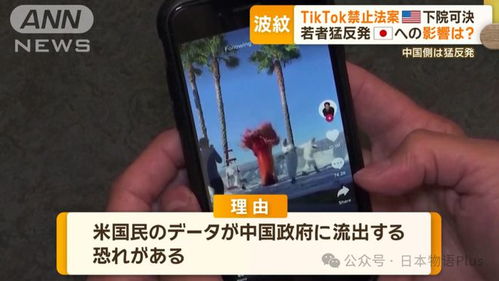 网友热议：超过半数美国人反对禁止TikTok