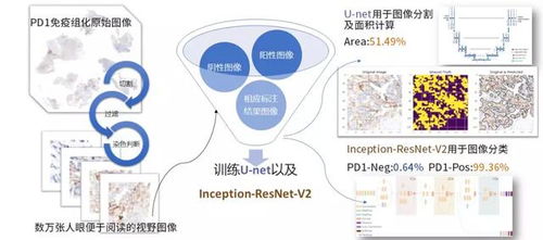 构建主动免疫的人工智能安全产业空间：让大模型更安全可靠