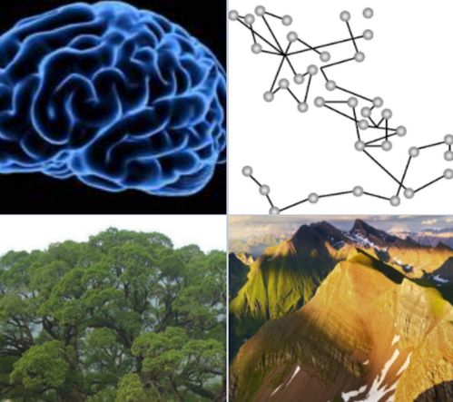 沐浴在大自然的滋养下：科学揭示如何通过接触与理解改善身心状态