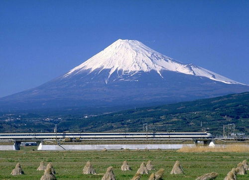 日本一小镇用极端手段抵制黄金周期间游客高峰：拉黑布遮挡富士山远景

在旅游业高度发达的当下，各大旅游胜地面临着游客蜂拥而至的情况。为了应对这种局面，一些地方开始采取极端措施来维护当地的安全和秩序。最近，在日本的一个小村庄，却出现了一种与众不同的做法。

据报道，这个名为铃鹿的小村庄在迎接黄金周期间的到来时，决定通过拉黑布遮挡富士山的远景，以此来驱赶潜在的游客。村民们认为，这将有助于保护他们独特的文化传统和自然环境不受破坏。

这种极端行为引起了国际社会的关注。许多网民对此表示担忧，并指出这是对当地文化和自然环境的严重侵犯。他们呼吁当地政府采取更加积极、健康的方式来吸引游客，而不是采取不理智的行为。

无论如何，无论是何种情况，我们都应该尊重并珍视每个地区的独特性和历史遗产。只有这样，我们的世界才能变得更加丰富多彩和多元化。