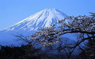 日本一小镇用极端手段抵制黄金周期间游客高峰：拉黑布遮挡富士山远景

在旅游业高度发达的当下，各大旅游胜地面临着游客蜂拥而至的情况。为了应对这种局面，一些地方开始采取极端措施来维护当地的安全和秩序。最近，在日本的一个小村庄，却出现了一种与众不同的做法。

据报道，这个名为铃鹿的小村庄在迎接黄金周期间的到来时，决定通过拉黑布遮挡富士山的远景，以此来驱赶潜在的游客。村民们认为，这将有助于保护他们独特的文化传统和自然环境不受破坏。

这种极端行为引起了国际社会的关注。许多网民对此表示担忧，并指出这是对当地文化和自然环境的严重侵犯。他们呼吁当地政府采取更加积极、健康的方式来吸引游客，而不是采取不理智的行为。

无论如何，无论是何种情况，我们都应该尊重并珍视每个地区的独特性和历史遗产。只有这样，我们的世界才能变得更加丰富多彩和多元化。