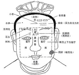 韩国政界疑风水预测选祖坟，两位候选人同大师面相揭秘