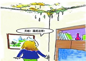 梦见下雨屋顶漏雨：到底预示着什么？解读与解析