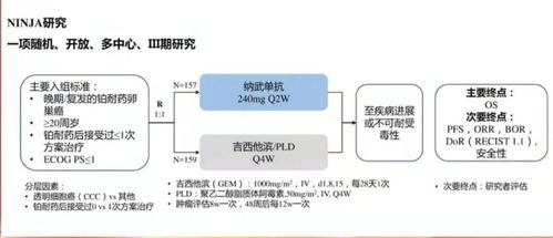 香港教授千里迢迢来到长沙，提供高质量的医疗服务