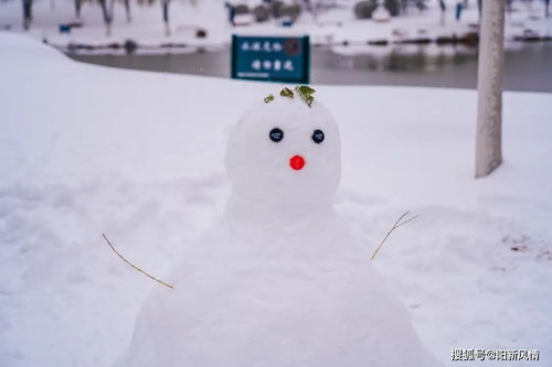 喜提呆萌大头照，史上最‘雪山之王’曝光