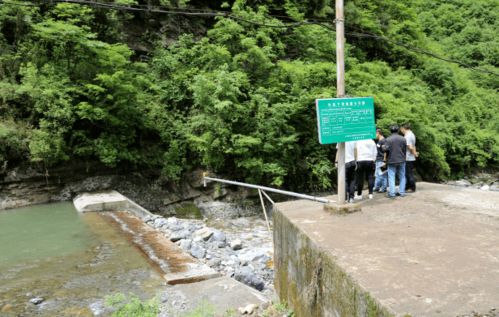 自然美景与珍稀生物并存——揭秘四川甘洛马鞍山自然保护区大熊猫频现的神奇之处