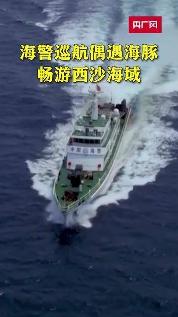 独特经历：海警巡逻偶遇成群海豚的海洋奇趣