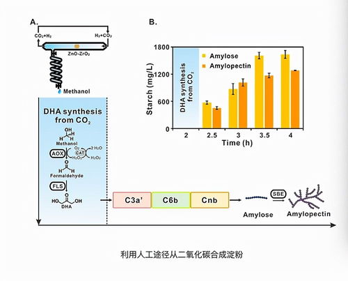 科学家成功合成新型官能团，有望实现氟化氢的稳定存储