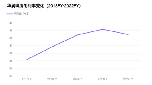 华润稳健投资，探索网页制作与运营盈利路径