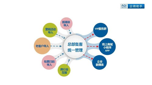 独特品牌私域运营策略分享：打造可持续增长的秘密武器