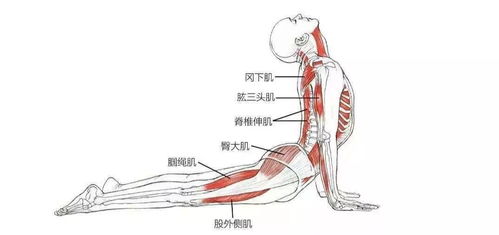 八段锦之秘诀：针对头痛、肩酸、视疲劳的完美解决方案