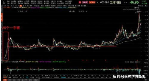 综艺股份投资收益翻倍仍未向股东分红：这背后的故事与原因