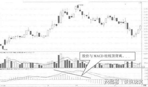 革新未来：股神巴菲特的投资布局全新解读！