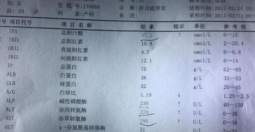 明确了解乙肝六项检查方法：避免不必要的麻烦和冤枉路