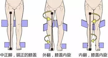 超实用的护膝建议：五步教你做好休息，保护膝盖不受伤害

别再以为这是睡觉时的事情了！如何做好正确的膝盖休息方式？看这里5个小贴士，让膝盖得到充分休息