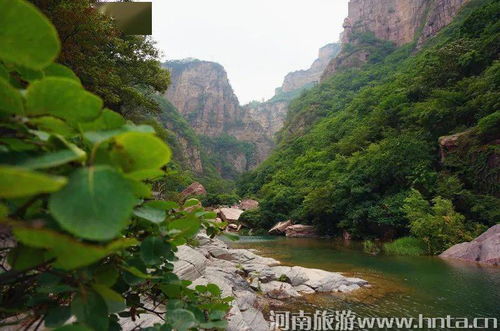 河南宝泉旅游区内游客过多滞留在徒步路程仅十几公里处，景区对此表示歉意

景区错失绝佳登山机会！河南宝泉旅游区游客数量过大导致山路漫长仅十几公里可达，我们深感歉意