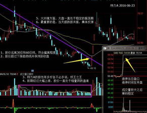 三个月内，全球投资者纷纷看好中国股市！