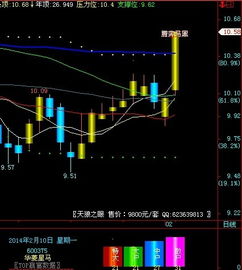 上海一名财务人炒股损失1350万，多年无人知晓其亏损原因