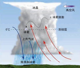 冰雹为何与元宵一样，形成原理你知道吗？在这里的答案