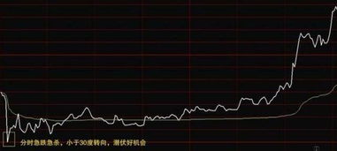 疯狂！超跌大反弹！快狗打车飙升91.5%：互联网数据盛宴再度席卷