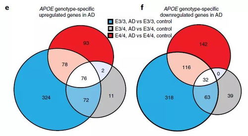 了解基因变异与阿尔茨海默病风险：一项最新的研究表明